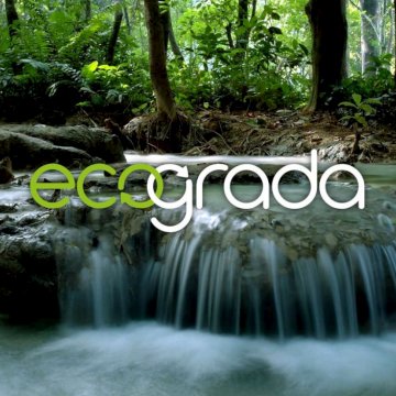 Portafolio Medianical